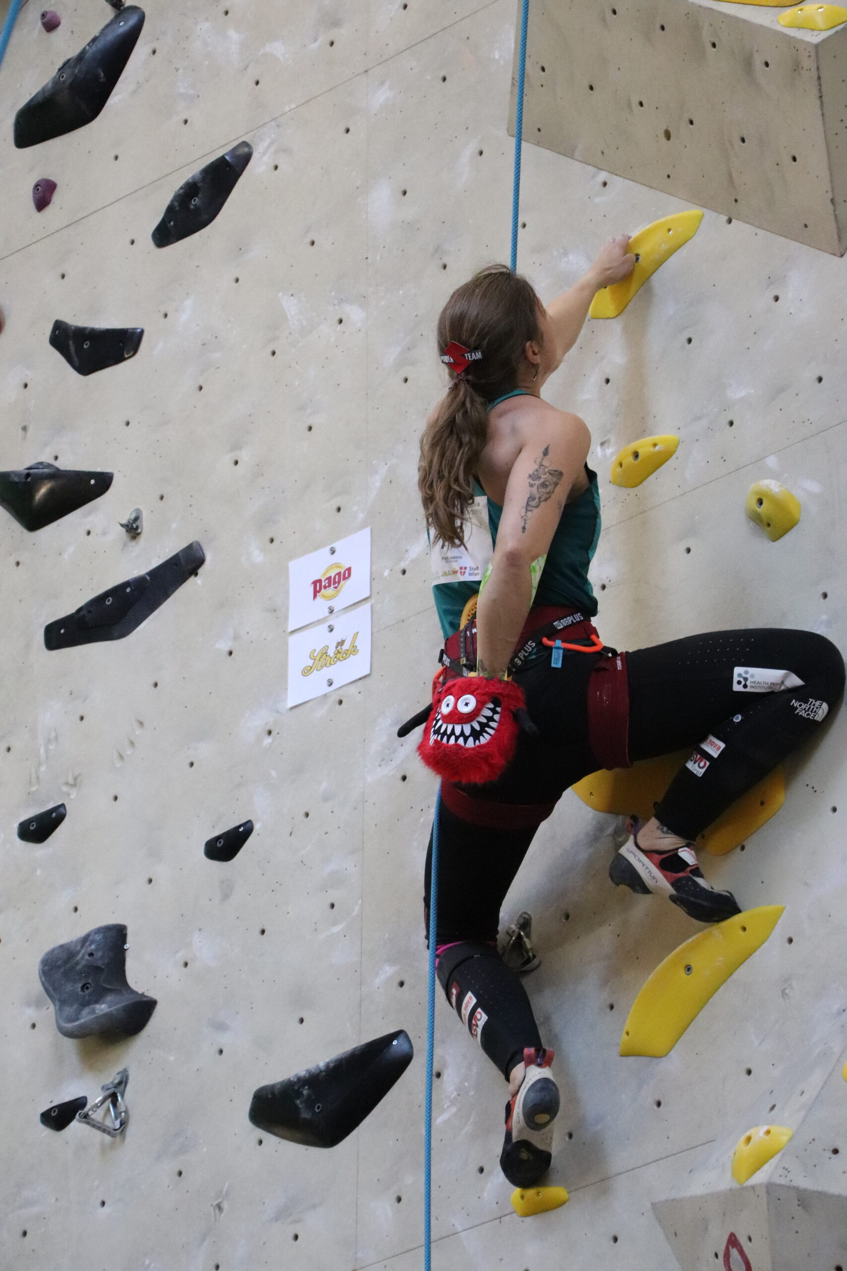 INTERNATIONAL PARACLIMBING MASTER